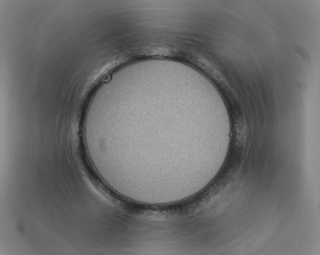 X0000113310538200910131110