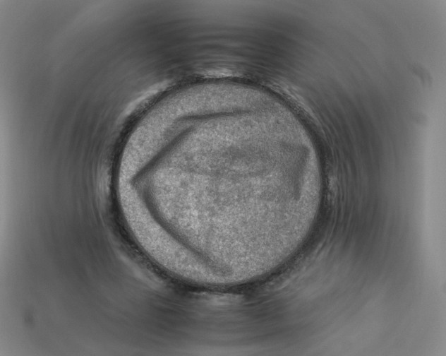 X0000113310539200910131110