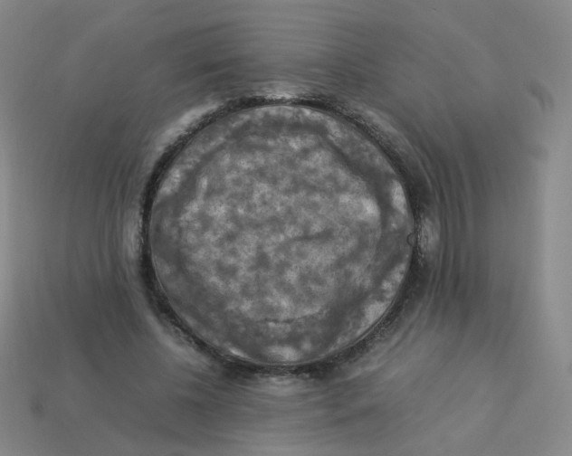 X0000113310540200910131110