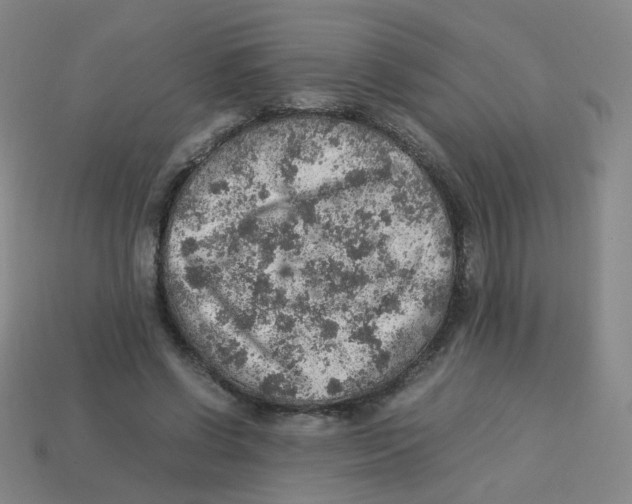 X0000113310542200910131110