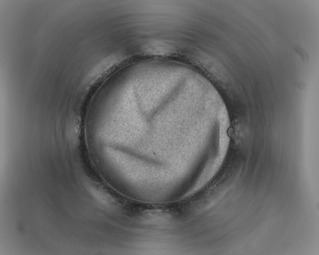 X0000113310544200910131110