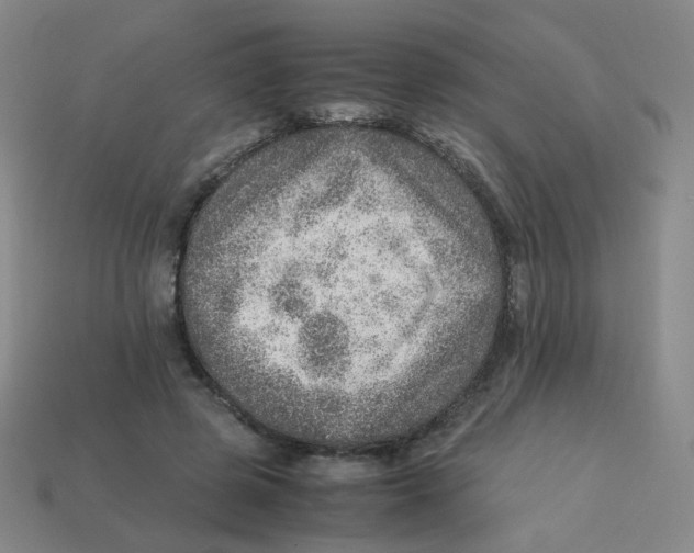 X0000113310545200910131110