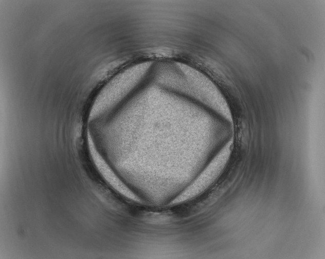 X0000113310548200910131110