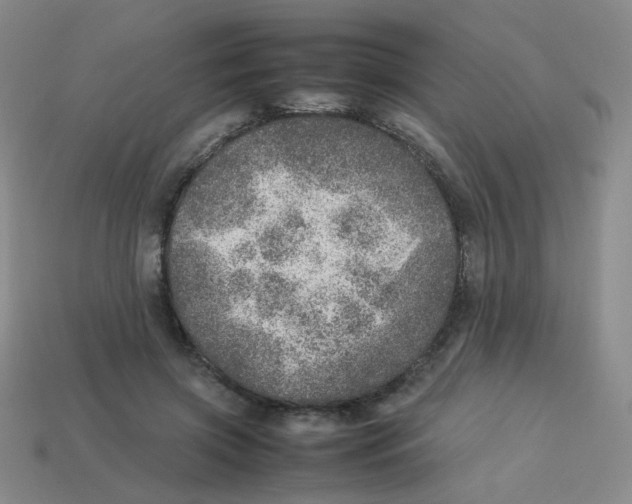 X0000113310549200910131110