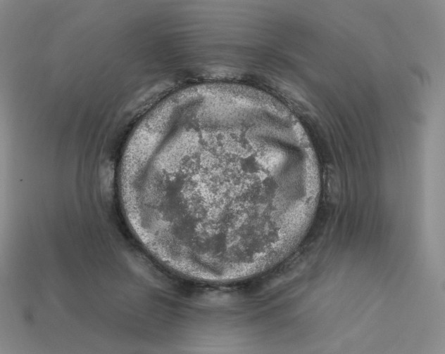X0000113310550200910131110