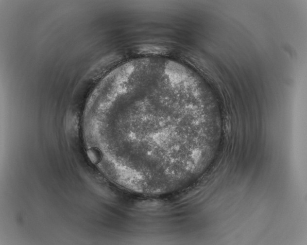 X0000113310551200910131110