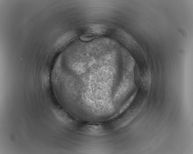 X0000113310552200910131110