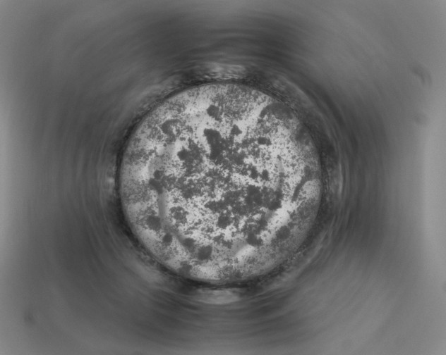 X0000113310553200910131110