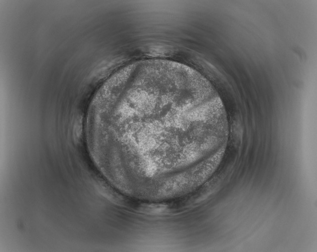 X0000113310554200910131110