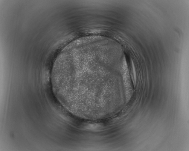 X0000113310555200910131110