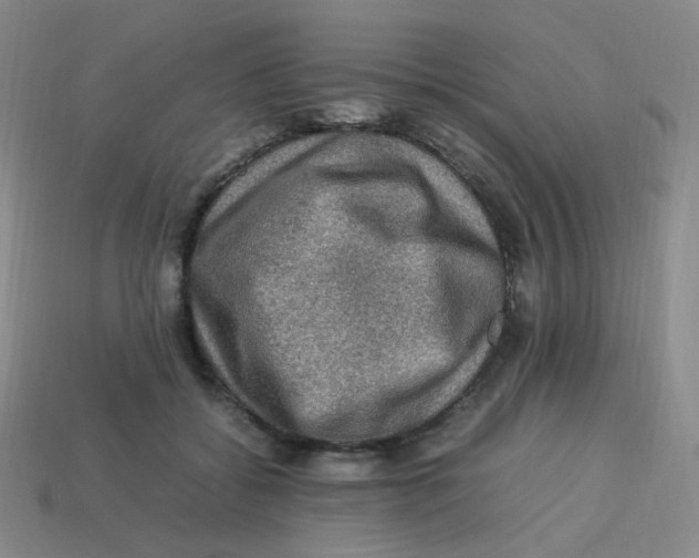 X0000113310556200910131110