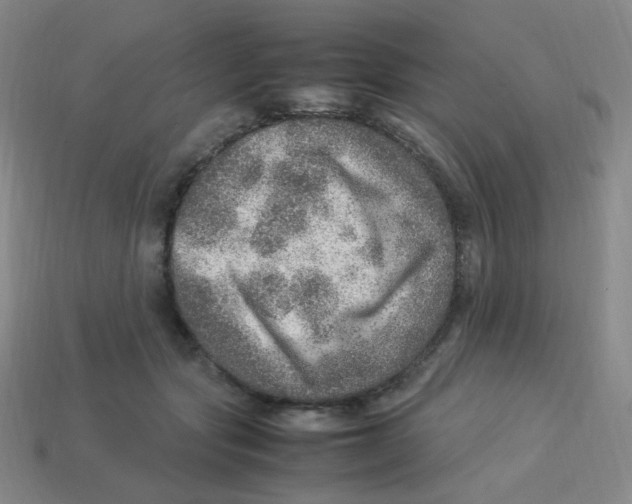 X0000113310557200910131110