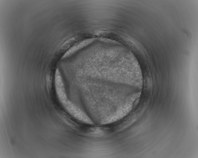 X0000113310558200910131110