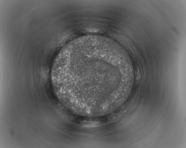 X0000113310559200910131110