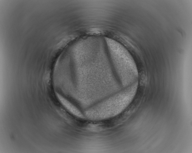 X0000113310560200910131110