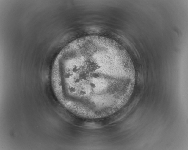 X0000113310561200910131110