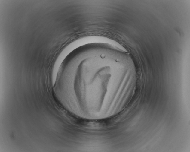 X0000113310562200910131110