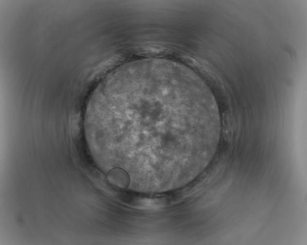 X0000113310563200910131110