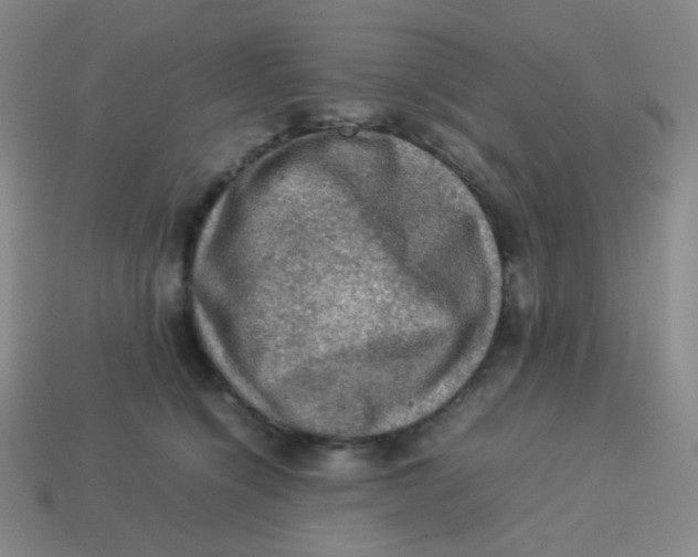 X0000113310564200910131110