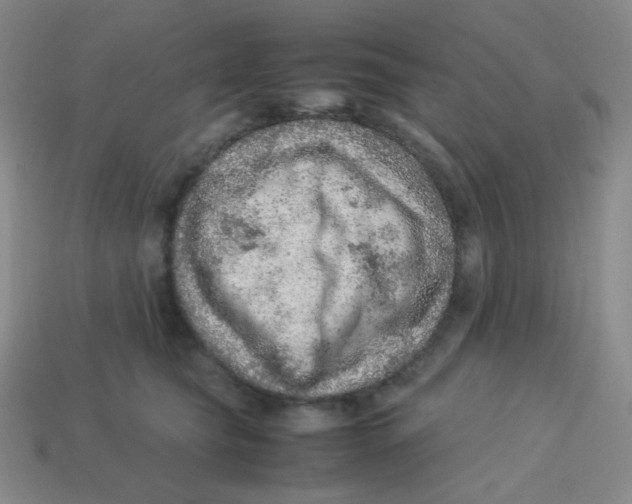 X0000113310565200910131110