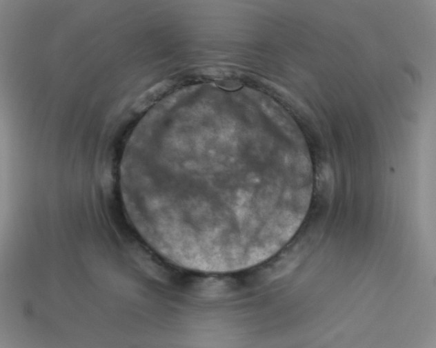 X0000113310566200910131110