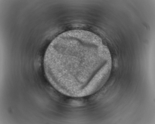 X0000113310567200910131110