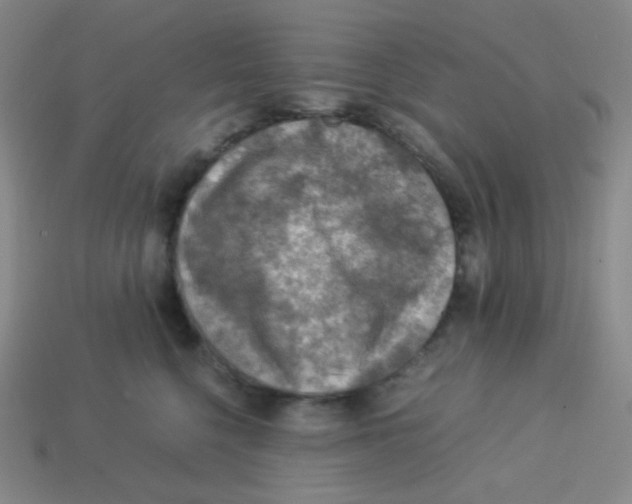 X0000113310568200910131110