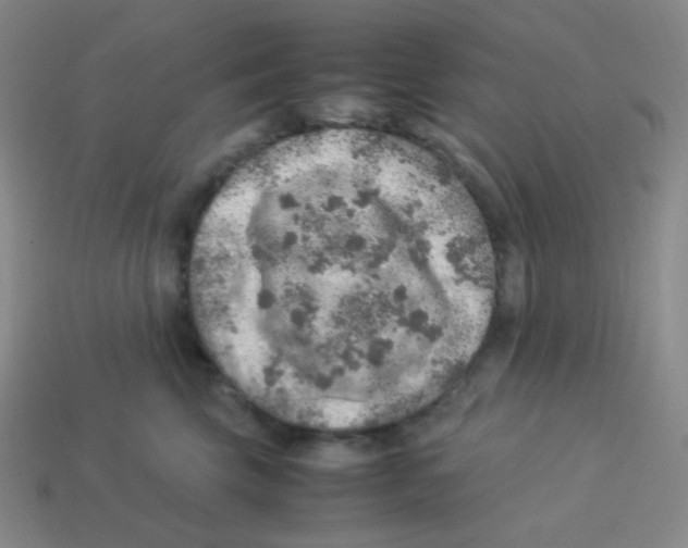 X0000113310569200910131110