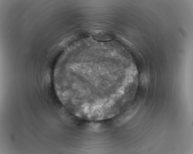 X0000113310570200910131110