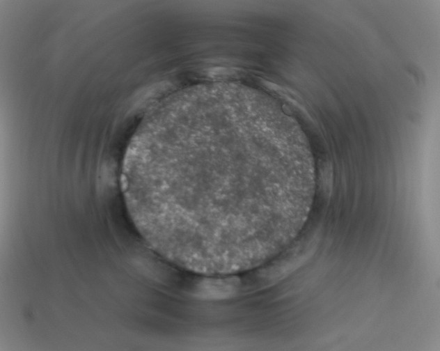 X0000113310571200910131110