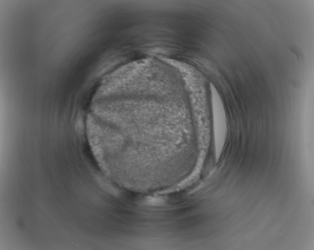 X0000113310573200910131110