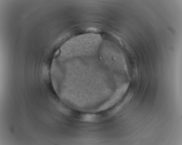 X0000113310575200910131110
