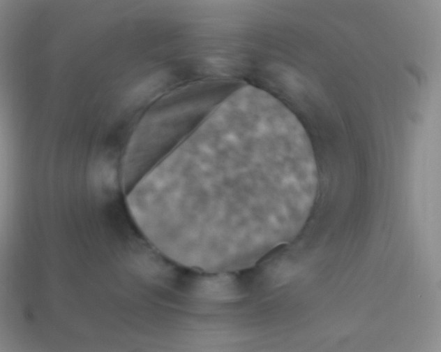 X0000113310576200910131110