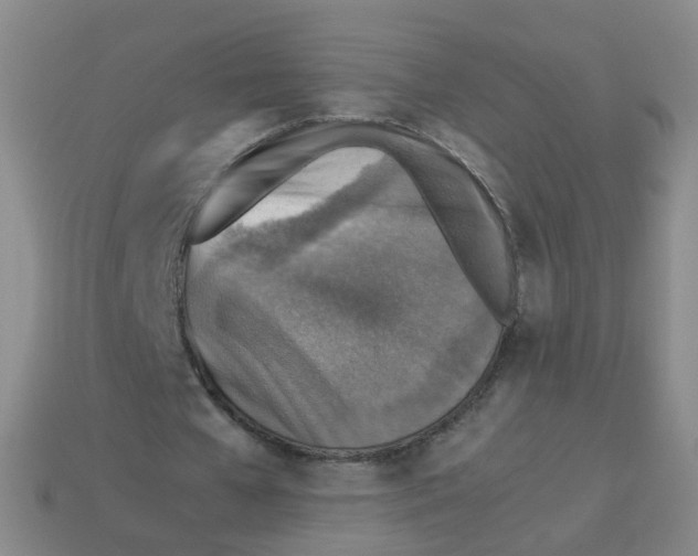X0000113310577200910131110
