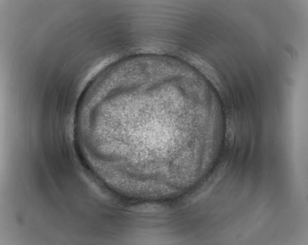 X0000113310578200910131110