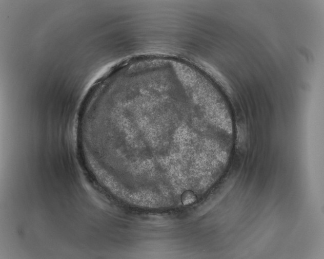 X0000113310580200910131109