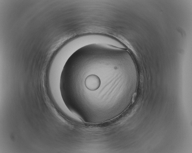 X0000113310581200910131109