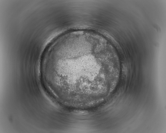 X0000113310582200910131109