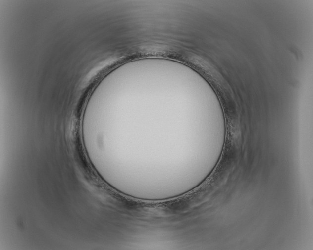X0000113310583200910131109