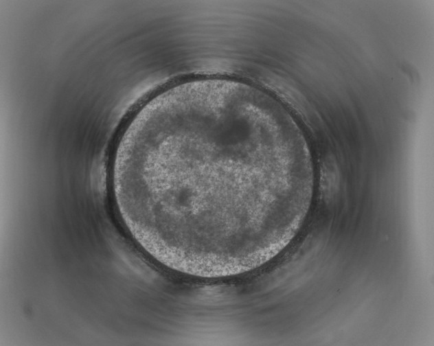 X0000113310584200910131109
