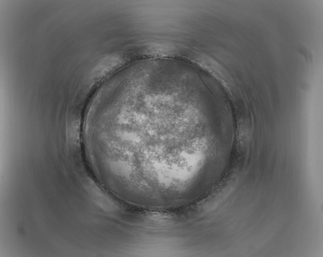 X0000113310585200910131109