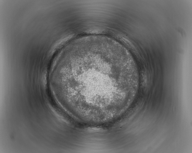 X0000113310586200910131109