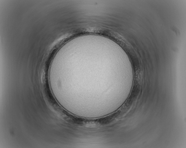 X0000113310587200910131109