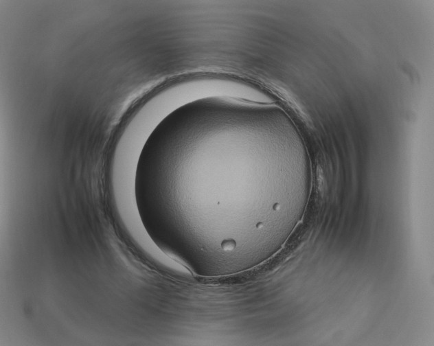 X0000113310588200910131109