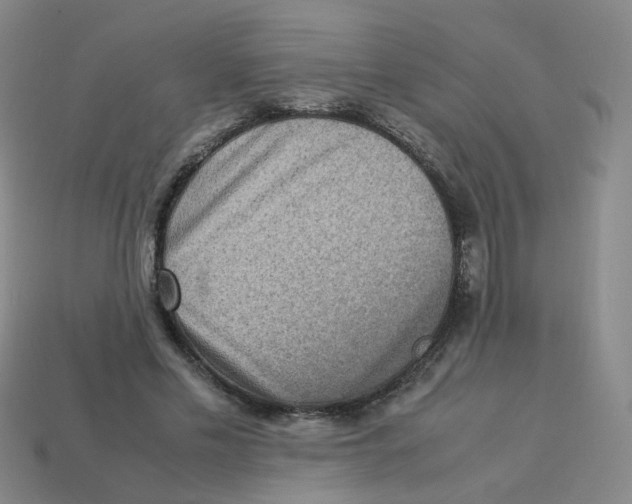 X0000113310589200910131109