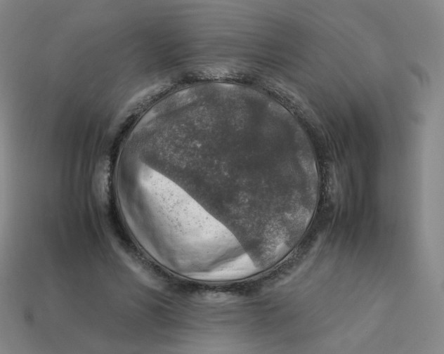 X0000113310590200910131109