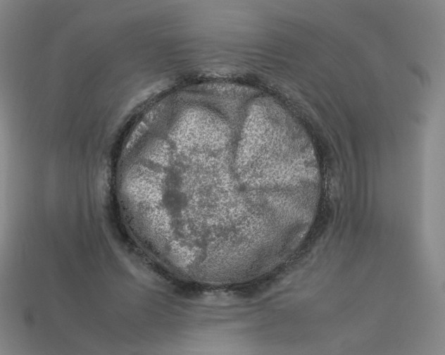 X0000113310591200910131109