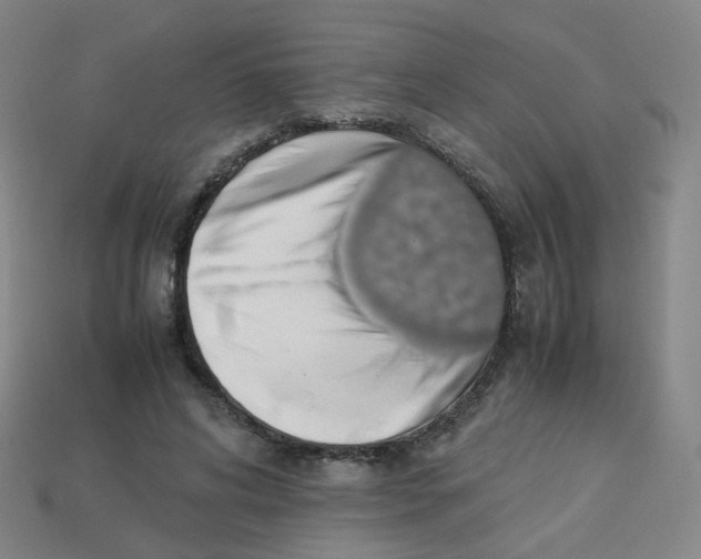 X0000113310592200910131109