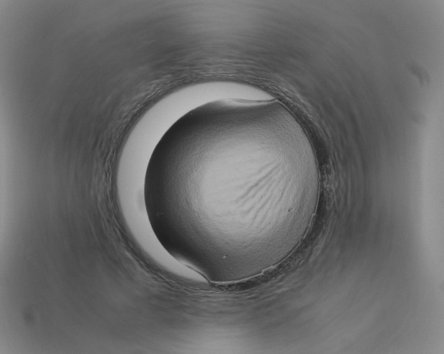 X0000113310593200910131109