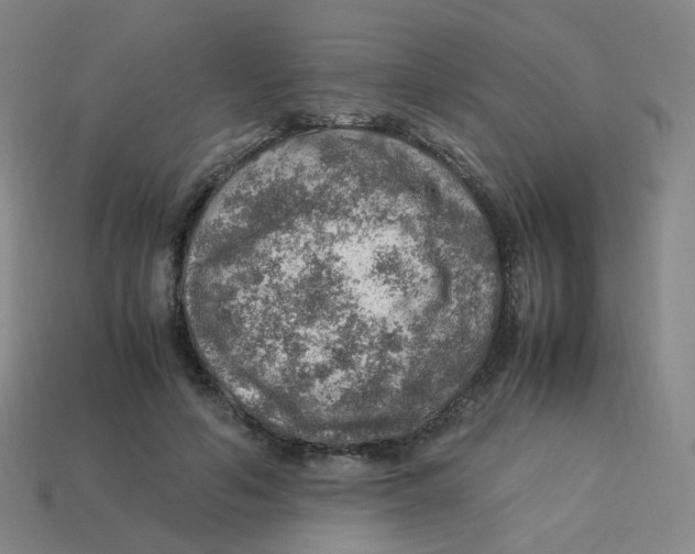 X0000113310594200910131109